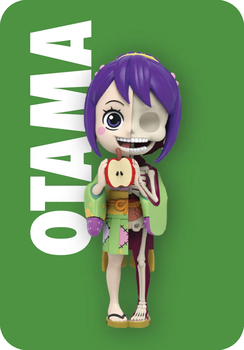 Hidden Dissectibles: One Piece (Ladies ed.)