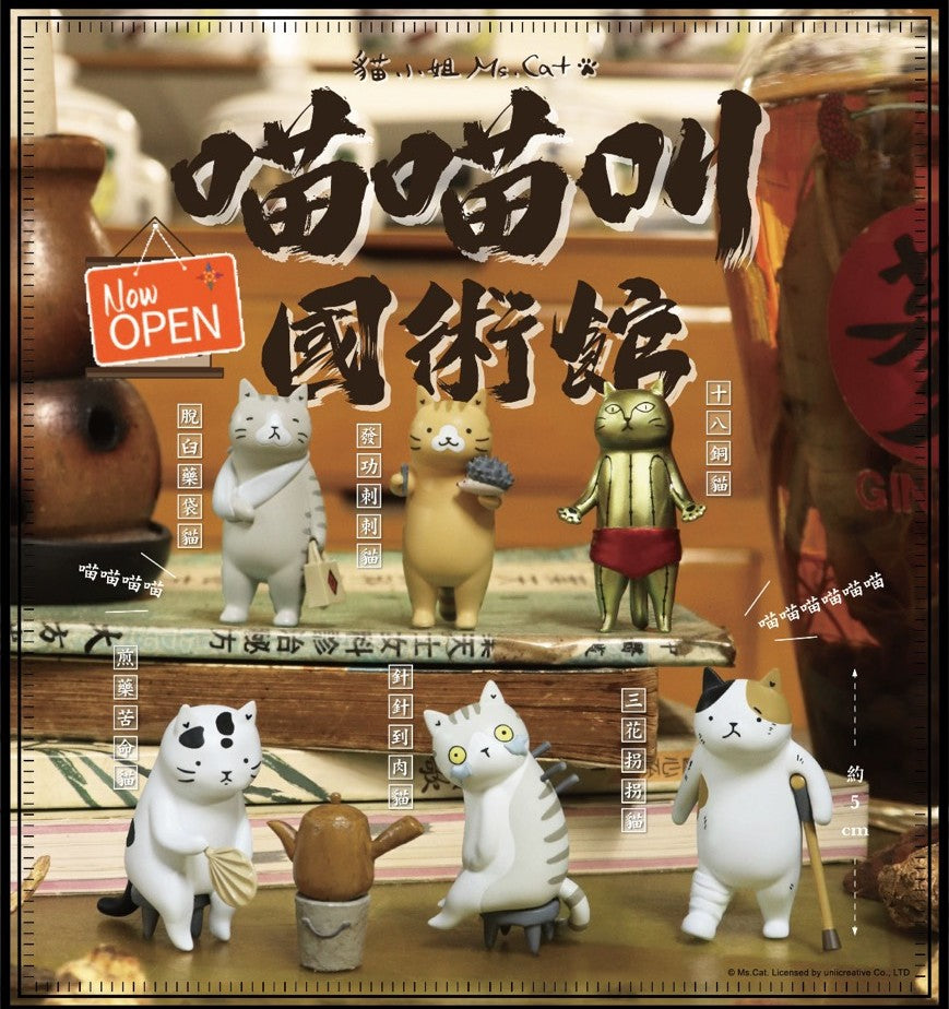 Cat Kung Fu Clinic Blind Boxes