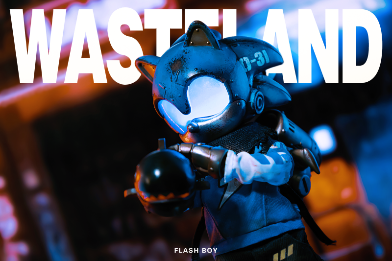 Wasteland Flash Boy Sonic Action Figure