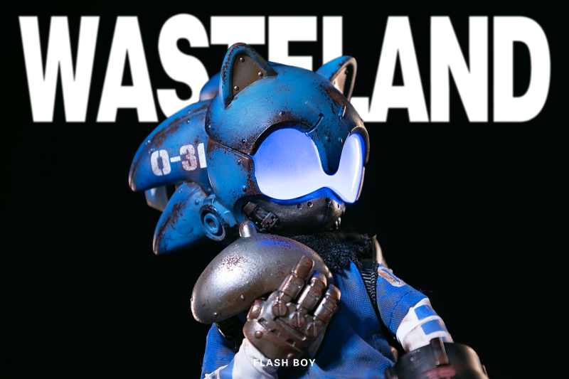 Wasteland Flash Boy Sonic Action Figure