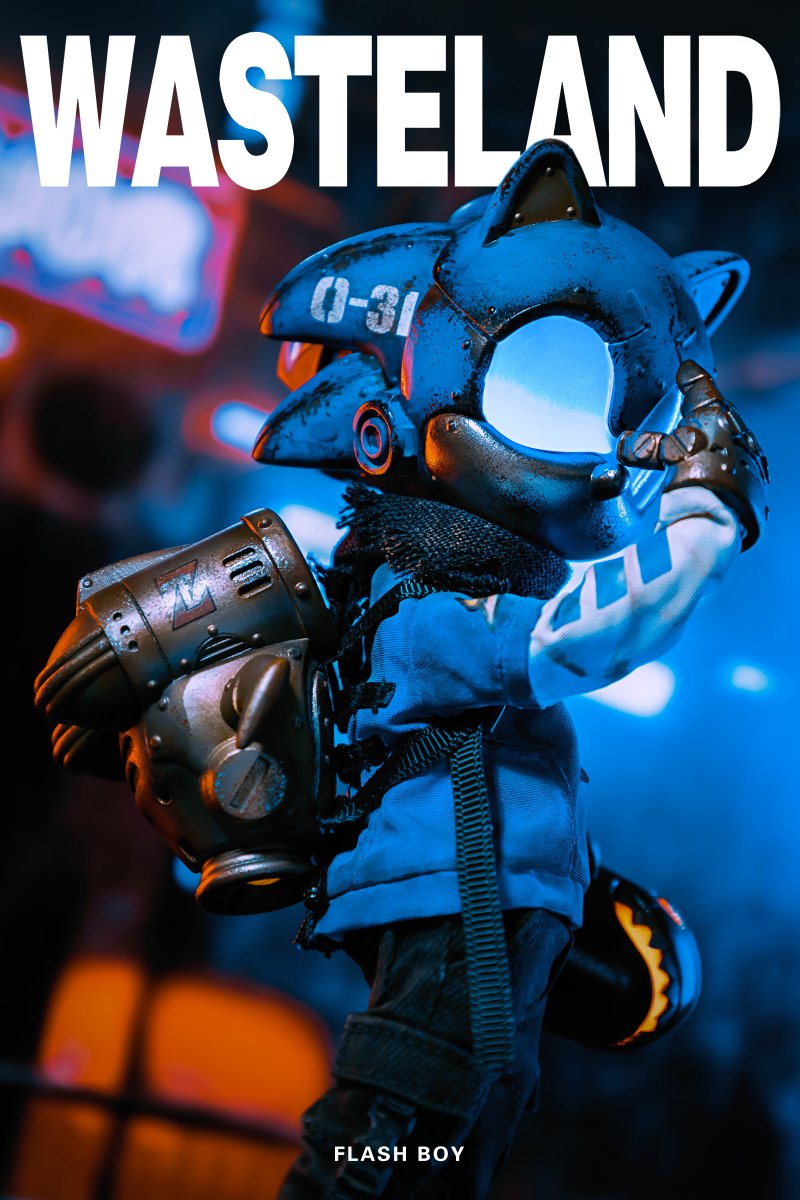 Wasteland Flash Boy Sonic Action Figure