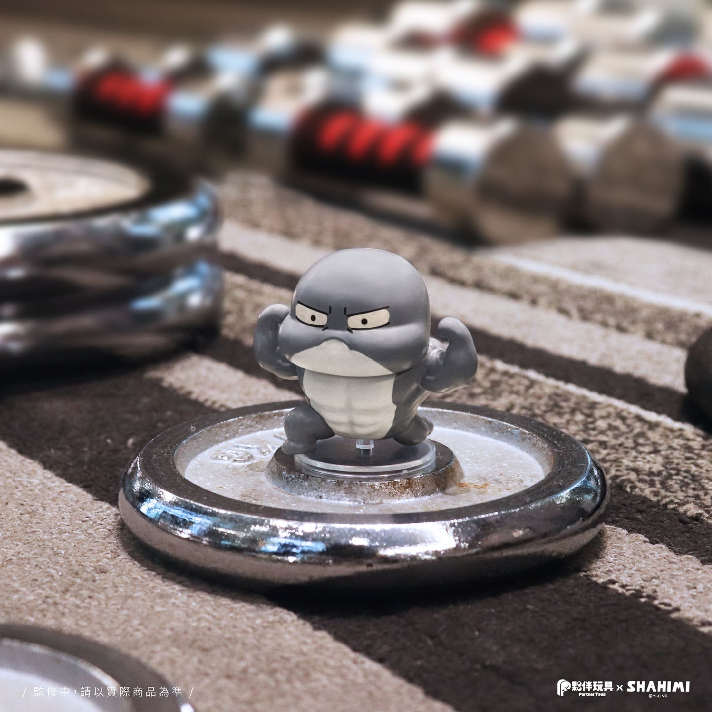 Shahimi Shark 4 Complete Blind Box Set