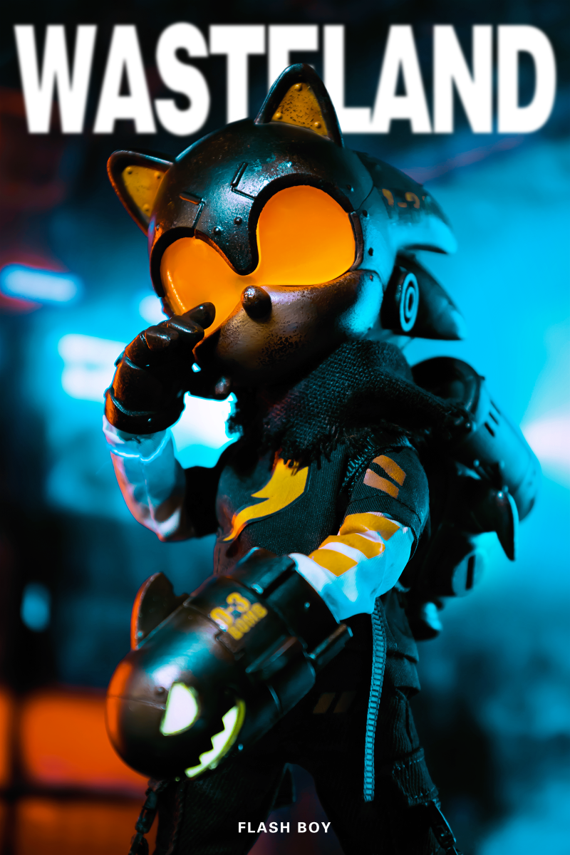 Wasteland Flash Boy Sonic Action Figure