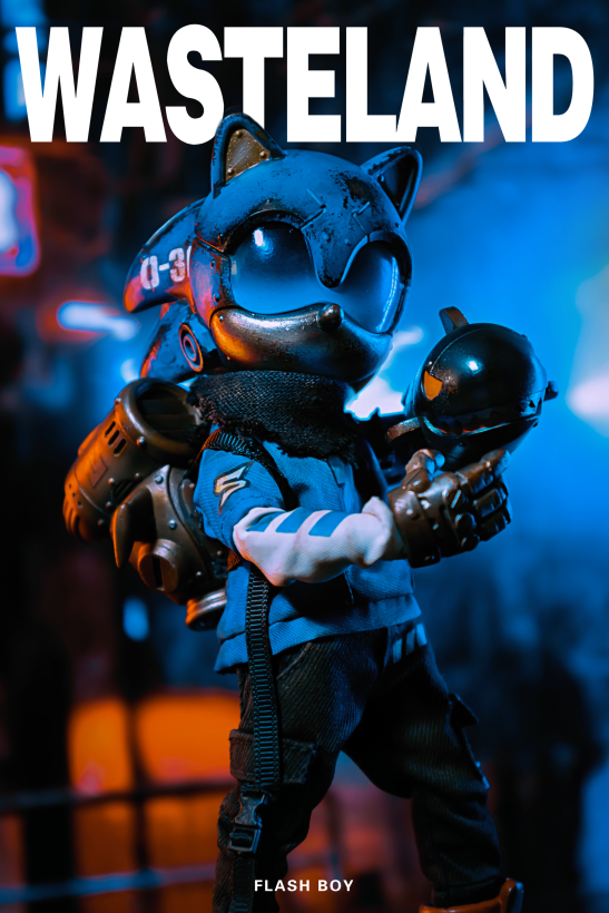 Wasteland Flash Boy Sonic Action Figure