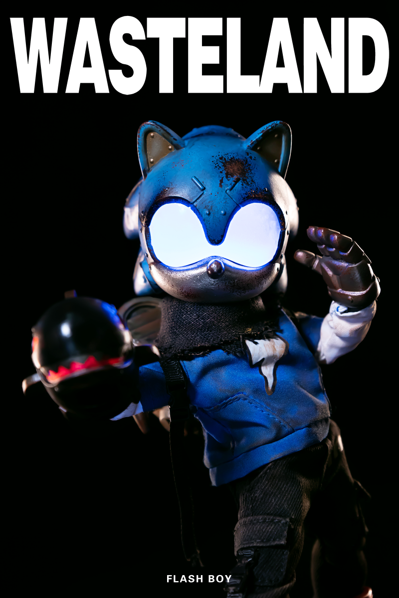 Wasteland Flash Boy Sonic Action Figure