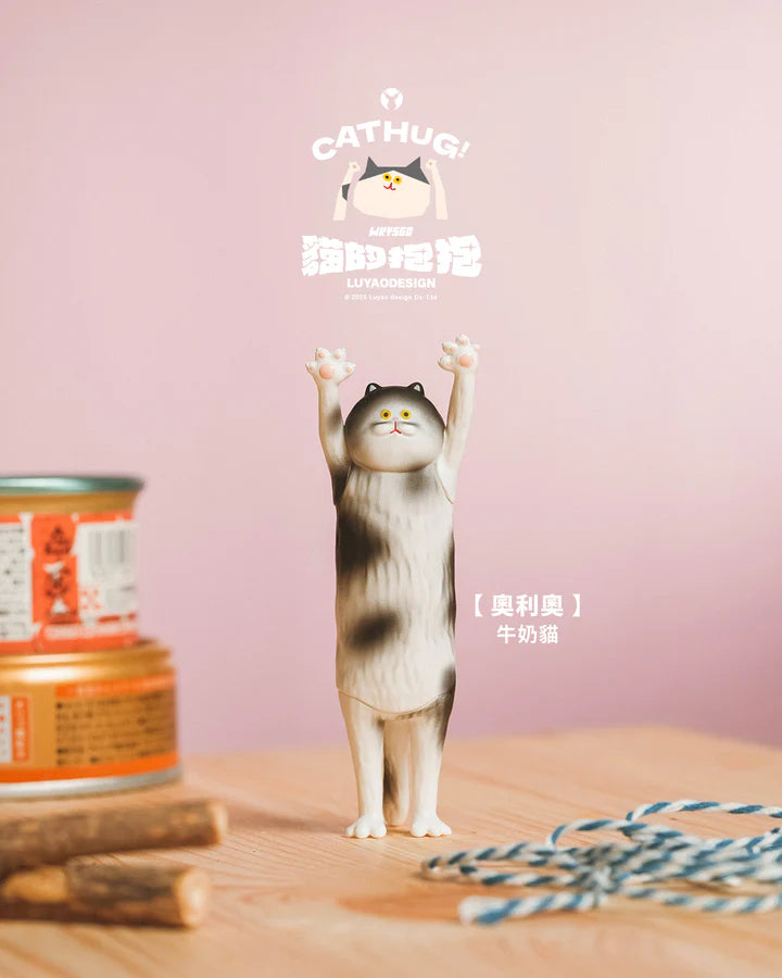 Luyao Design x Wky560 Studio Cat Hug Blind Box Series